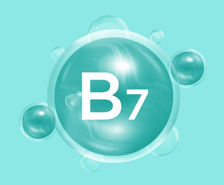 Витамин В7 (биотин)