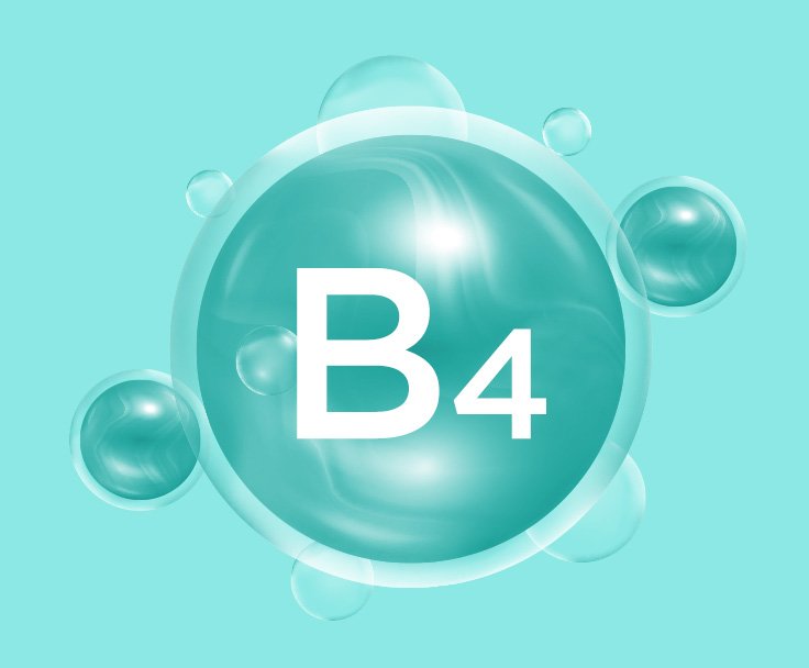 Витамин B4 (Холин)